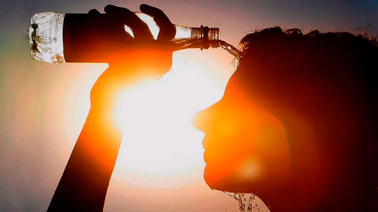 Recomienda imss acciones para prevenir el golpe de calor