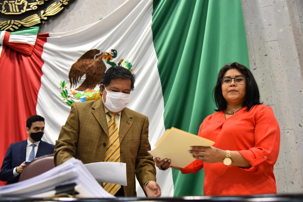 Atender enfermedades por vectores en municipios, pide Diputada