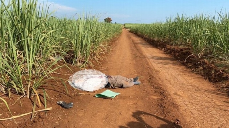 Arrojan cadáver a un costado de carretera en Acayucan, Veracruz