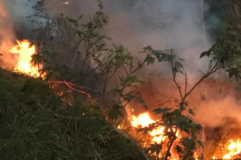 Incendio de pastizal en acceso a Aeropuerto de Veracruz