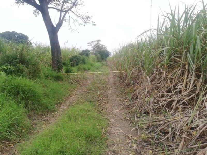 Hallan en cañal de Yanga los restos calcinados de una mujer