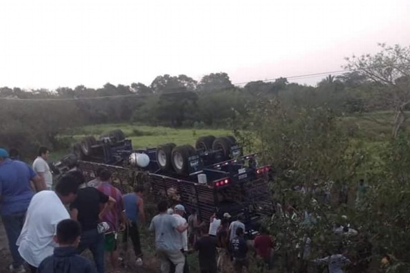 Rapiña de cerdos, luego de volcadura en autopista