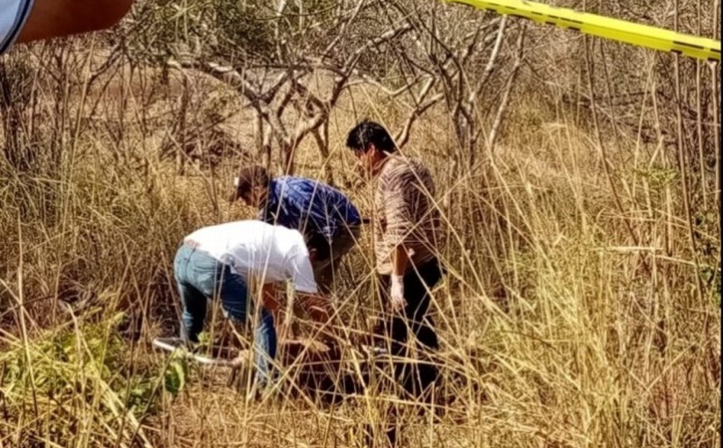 Lo encuentran sin vida en Paso de Ovejas, Veracruz