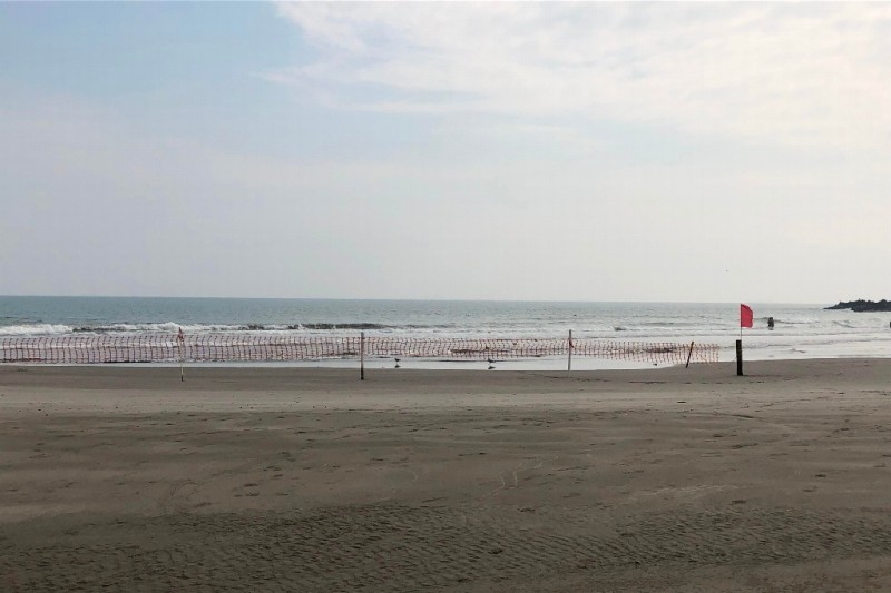 Hallan a hombre ahogado en playa de Boca del Río, Veracruz